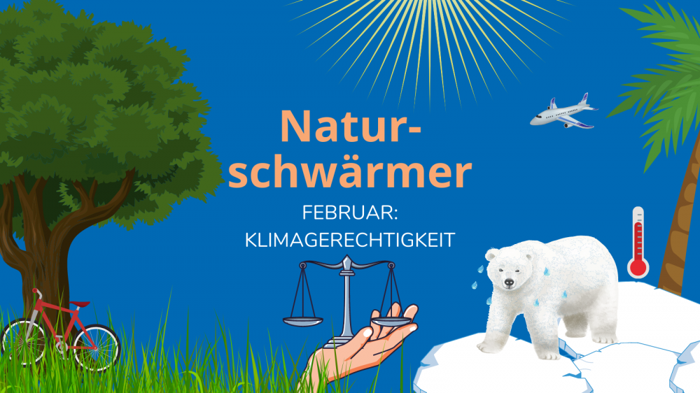 Naturschwaermer Hecke
