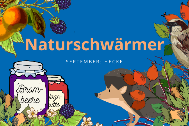 Naturschwaermer Hecke