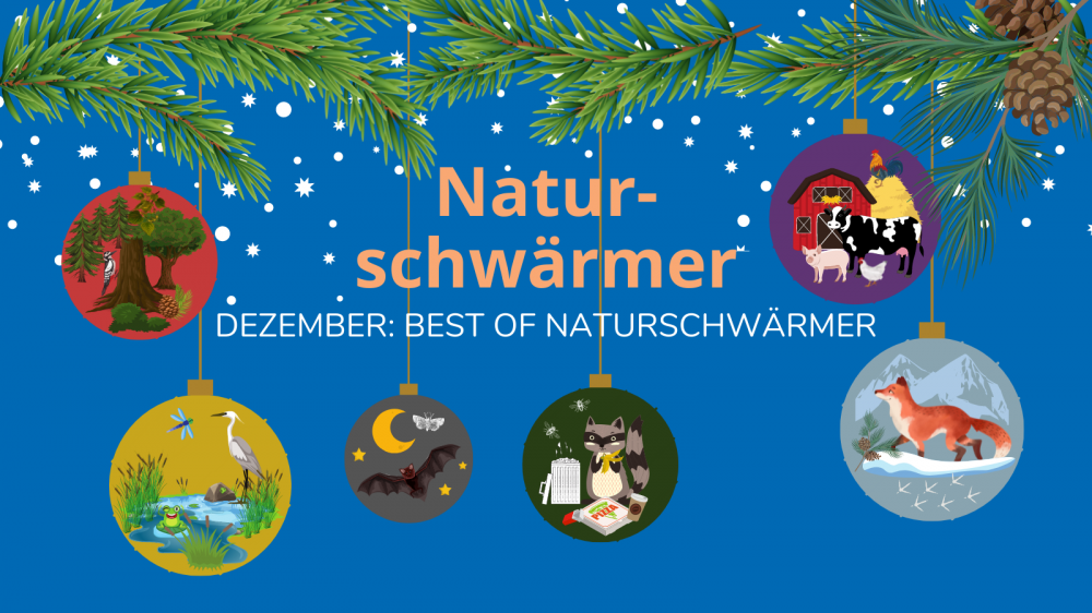 Naturschwaermer 