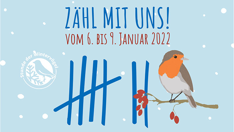Stunde der WIntervögel Grafik "=""